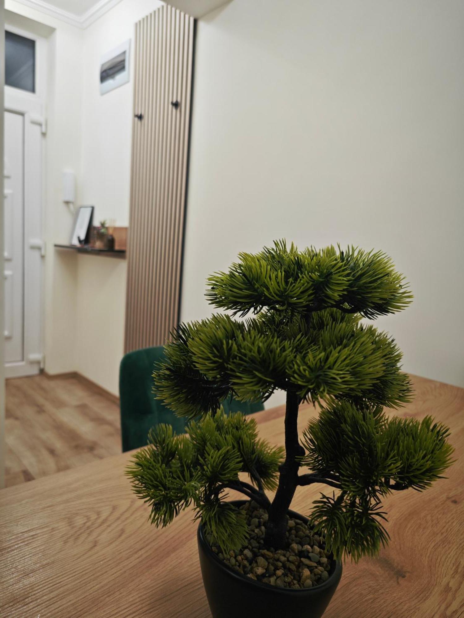 Apartment Greatforest *
