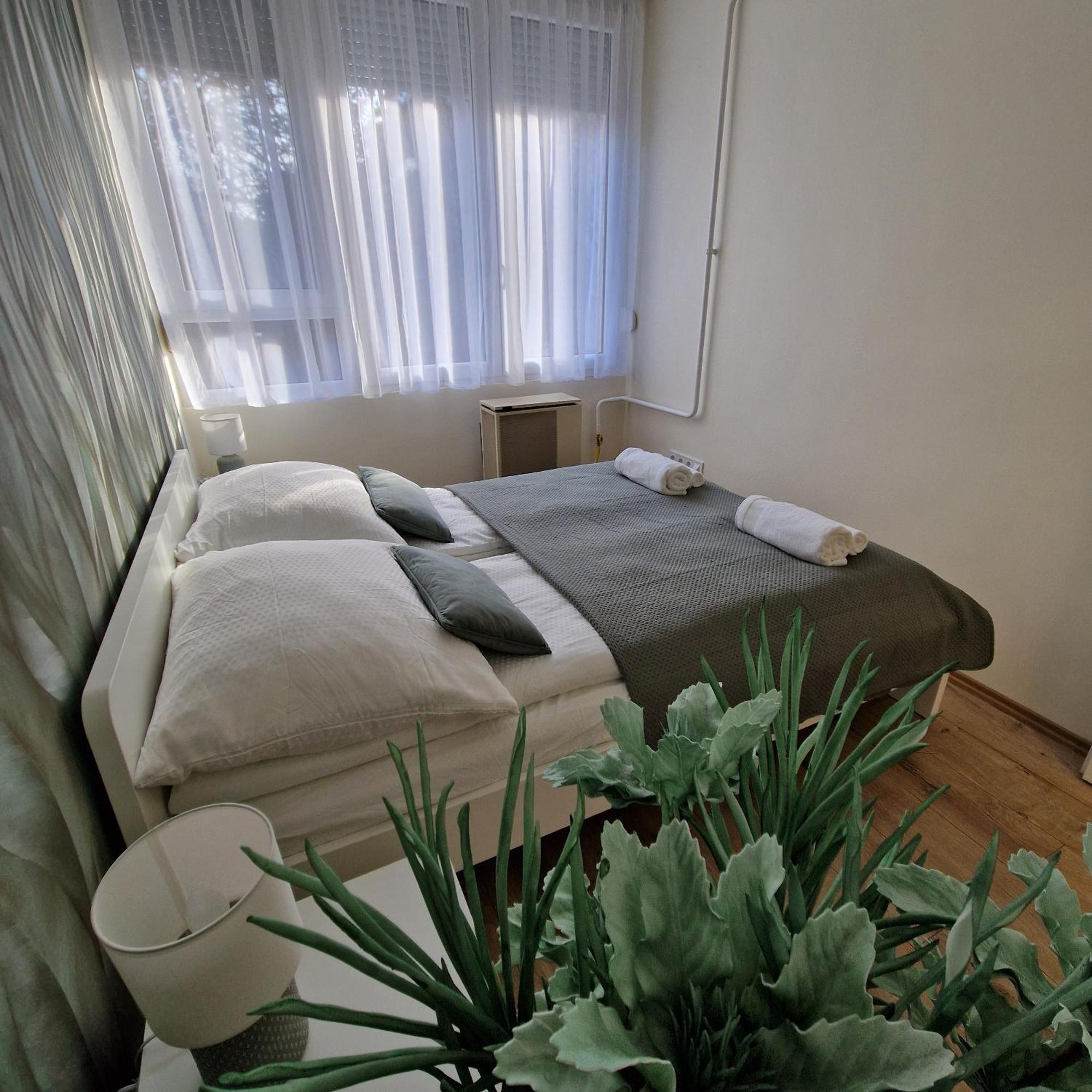 Greatforest * Debrecen